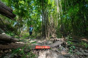 BIB: 
                            <button type="button" onclick="openModal(19393318)" class="btn btn-primary btn-sm float-right btn-popup" data-toggle="modal" data-target=".modal-high-quality">
                        <i class="fas fa-shopping-cart"></i> Add to Cart
                    </button>
                                            <button type="button" onclick="isThisMe(19393318, true)" class="btn btn-success btn-sm float-right btn-popup btn-isme hidden" data-toggle="tooltip" data-placement="bottom" title="นี่คือรูปของคุณใช่ไหม คลิกที่นี่เพื่อเอาเข้าอัลบั้ม">
                        <i class="fas fa-plus"></i> Add to album
                    </button>
                    <button type="button" onclick="isThisMe(19393318, false)" class="btn btn-warning btn-sm float-right btn-popup btn-isnotme hidden">
                        <i class="fas fa-ban"></i> Remove from album
                    </button>